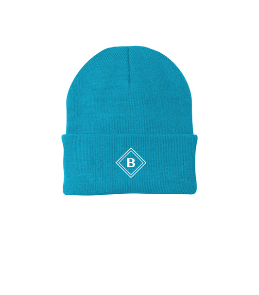 BAID Beanie