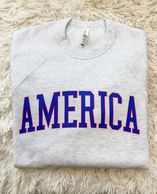Gray America Crewneck Sweatshirt