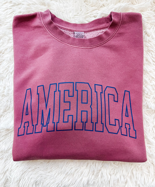 Faded Cranberry USA Crewneck
